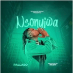 Nsonyiwa-By-Pallaso