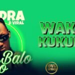 Balo Balo By Mudra D`Viral