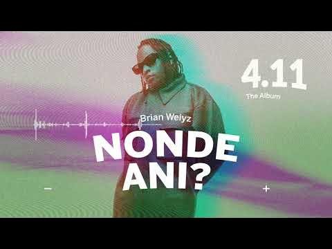 Nonde Ani By Brian Weiyz